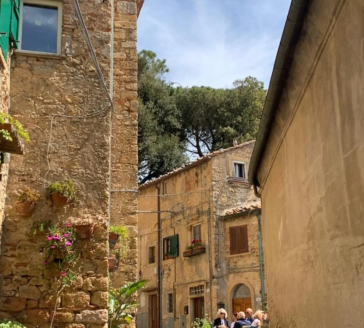 Casa Roro Lägenhet Casale Marittimo